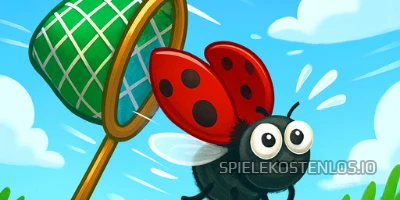  Catch Insect 